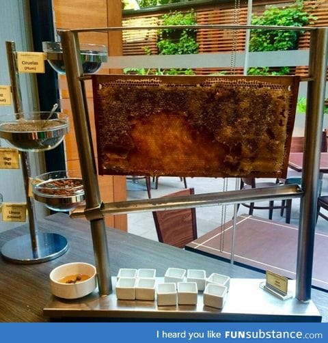 This hotel has fresh honey in their breakfast buffet