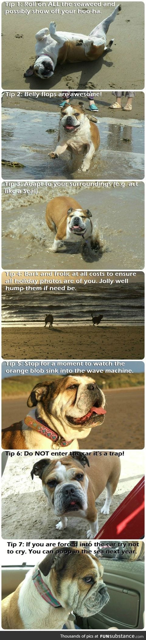 Bonnie's 7 tips for beach trips