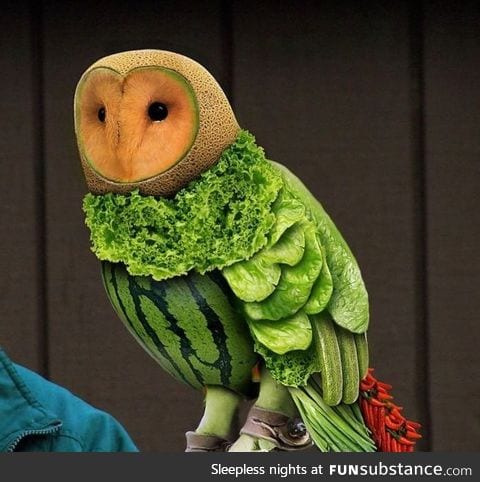 If owls were vegetarian.