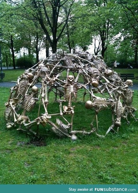 Skeletal jungle gym