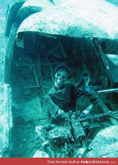 Underwater airplane wreckage