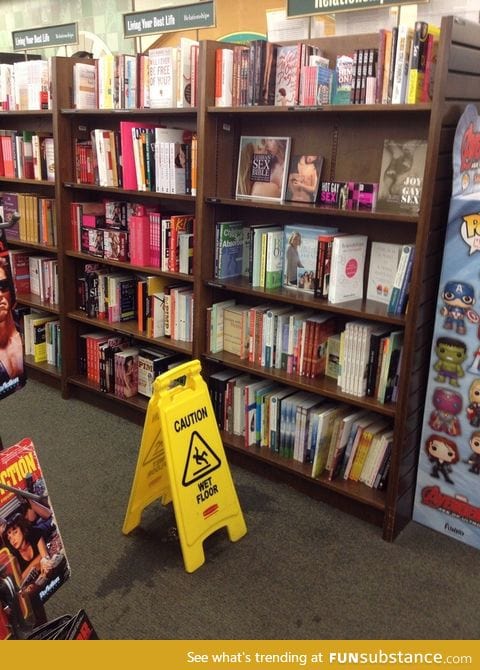 Someone was enjoying this section at the book store too much