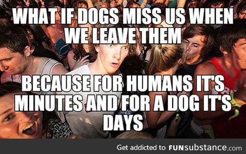 Dog years and human years