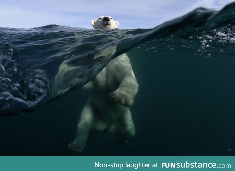 Photographer Joe Bunni spent three days on a small boat looking for polar bears