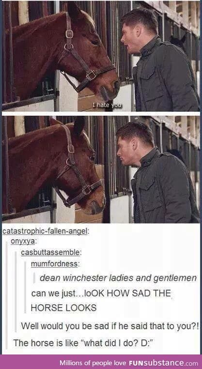 What did the horse do?