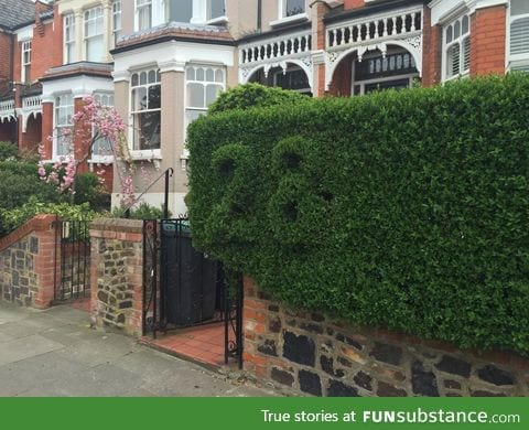 This house has the street number trimmed in the hedge