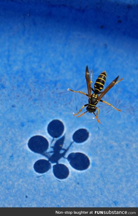 Surface tension