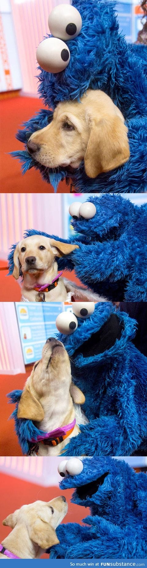 Dog meets cookie monster