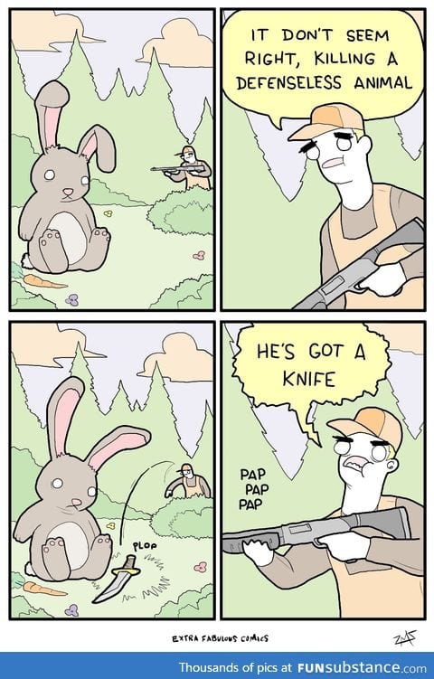 Run Little Bunny