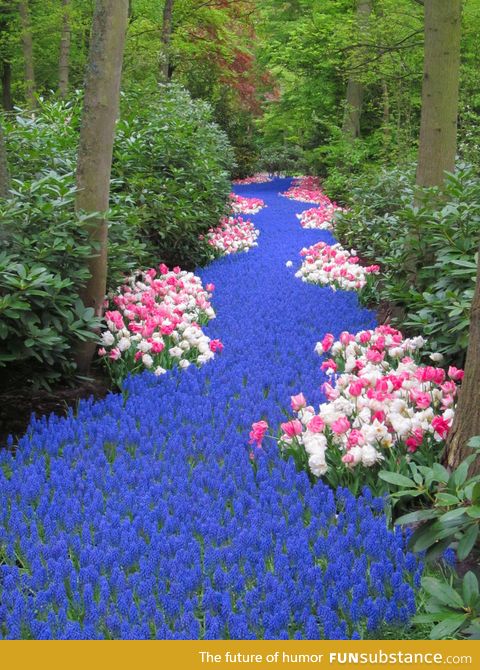 River of flowers