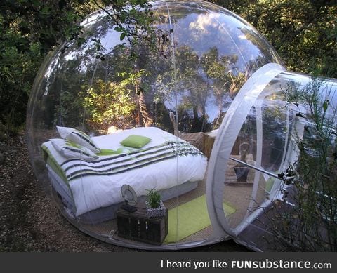 Would you sleep in this? Bubble Bed Surrounded by Nature