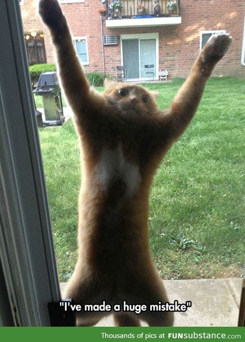 Let me in, you filthy human