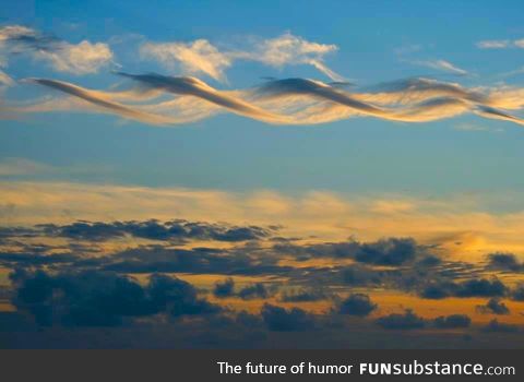 Cirrus cloud dna