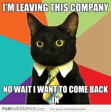 Business cat