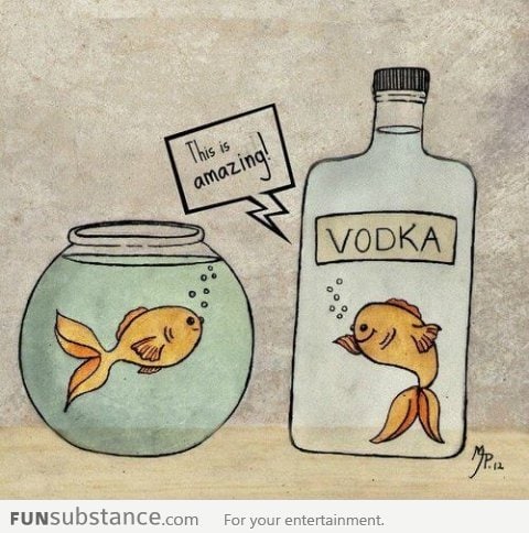 You Drunky Fish