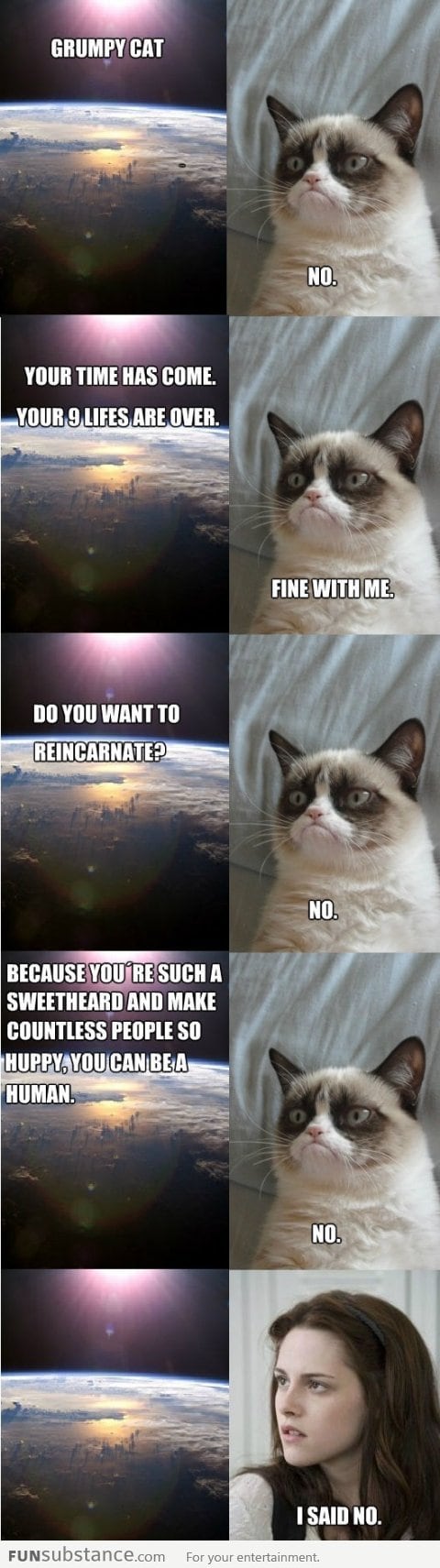 Grumpy Cat And The Universe