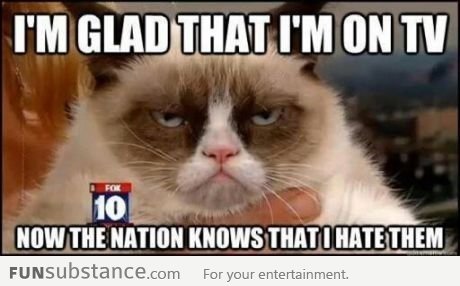 Grumpy cat