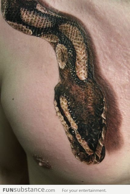 Awesome realistic snake tattoo