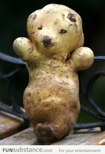 Bear potato