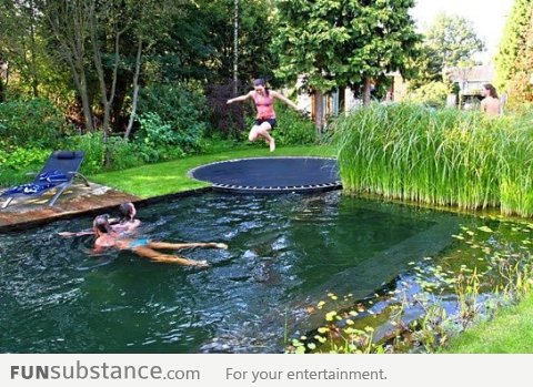 A pool disguised as a pond