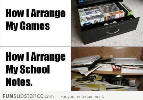 Difference between a gamer and a student