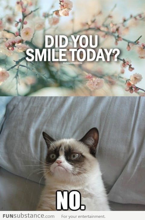 Did you smile today?