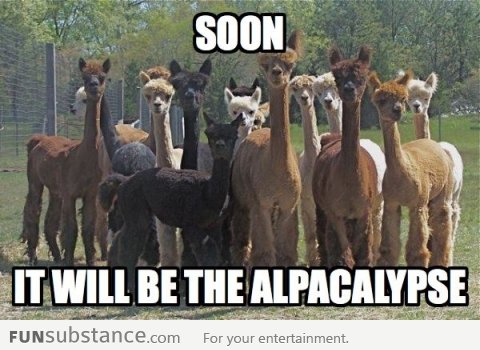 The Alpacalypse