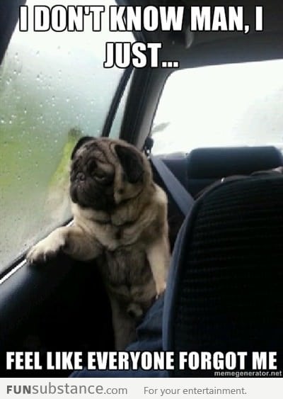 Introspecitve Pug is sad