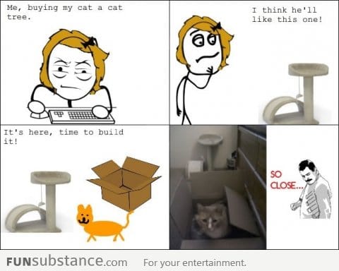 Cat logic