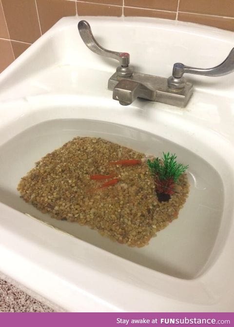 In my schools bathroom today