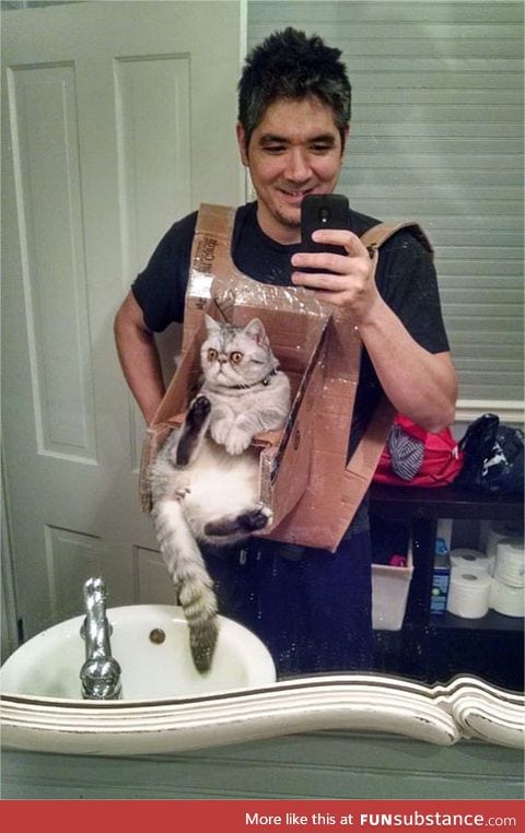 Cat chest harness