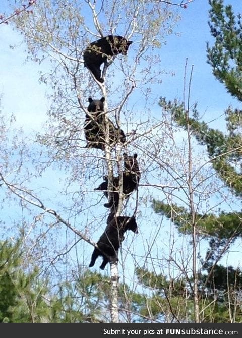 So this happened in northern Wisconsin yesterday