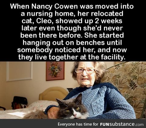 When Nancy Cowen was moved into a nursing home