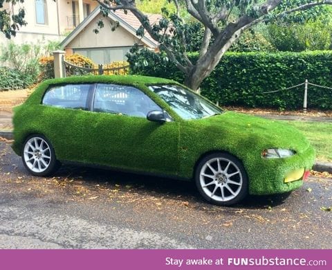 This car is covered in Astroturf