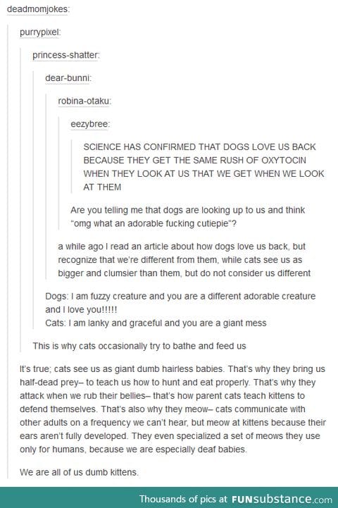 Cats, dogs and humans