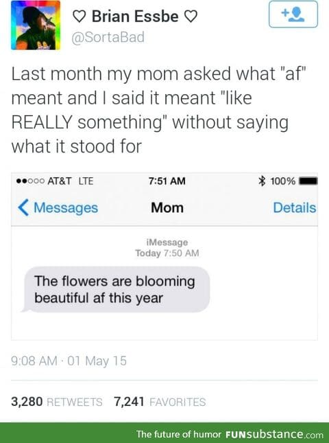 The flowers