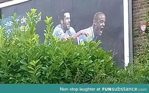 Unfortunate bush placement