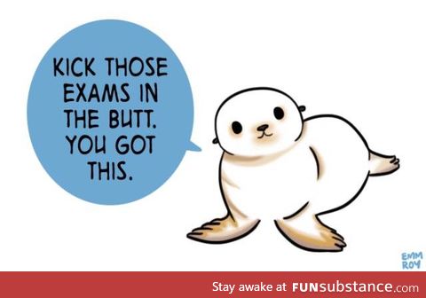 Day 184 of your daily dose of cute:It's finals time here so here's a cute positivity seal