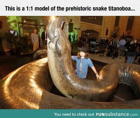 Giant prehistoric snake