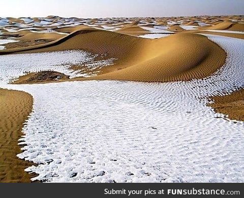 In 1979, snow fell in the Sahara Desert