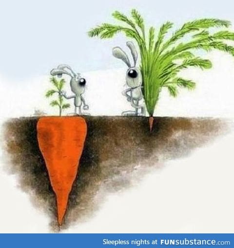 Success Isn't Always What You See