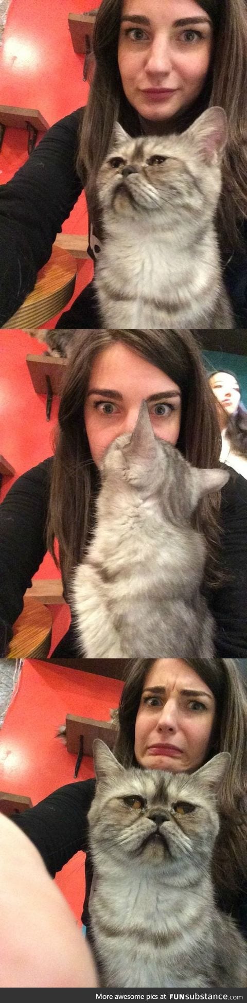 She was taking selfies with this cat and he surprise-kissed her