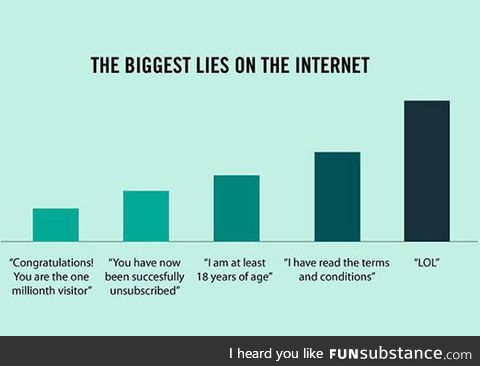 Internet lies