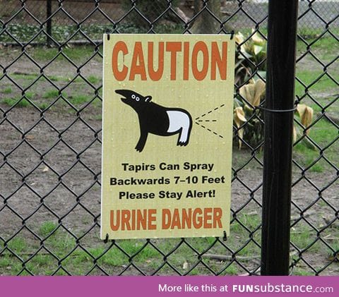 Stay safe and have pun at the zoo