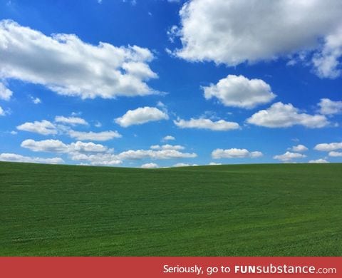 Bike ride aroud Walla Walla, WA took me right into the Windows XP wallpaper today