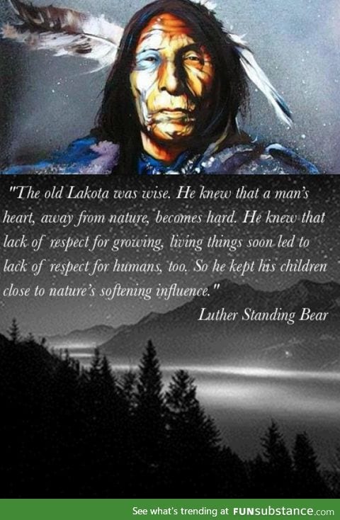 Wise words from Lakota