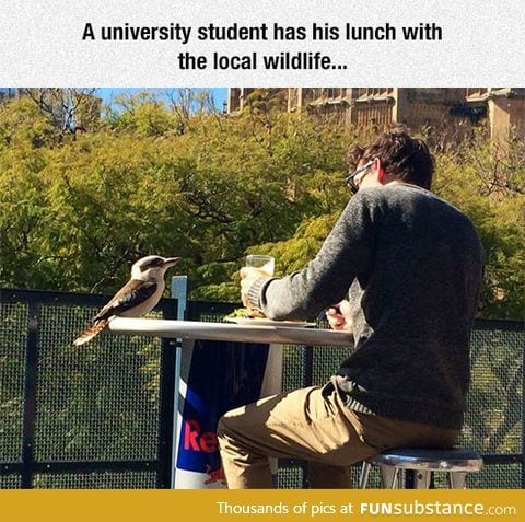 Student shares a meal