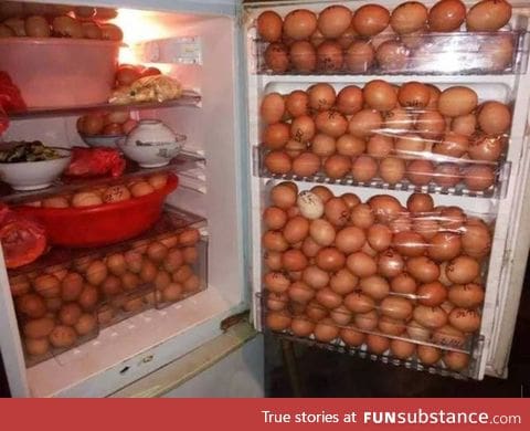 HowToBasic's fridge