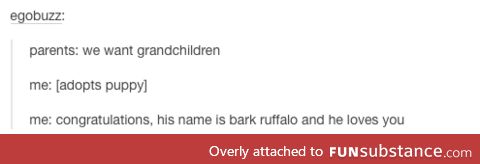Bark Ruffalo