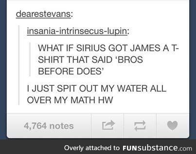 Sirius, my son you absolute ledge